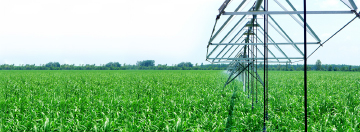 Vùng nguyên liệu